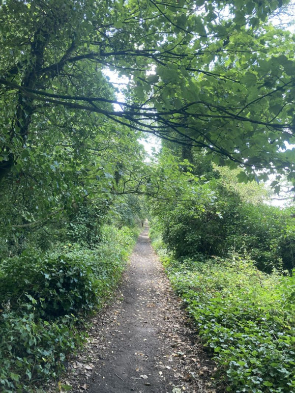 Path 